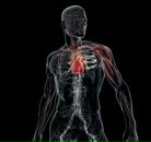 Фотография Фадеева Дмитрия