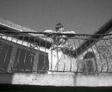 Вікторія Реслер фотография #7 (источник - https://vk.com/id90302870)