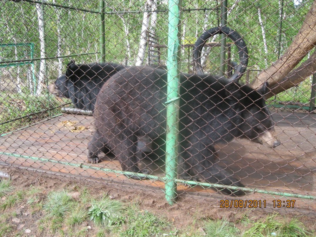 Александр Рыков фотография #11