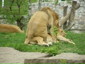 Віктор Дикий фотография #10 (источник - https://vk.com/id67455179)