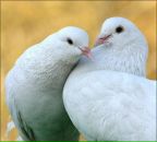 Іванка Боброва фотография #25 (источник - https://vk.com/id70950551)
