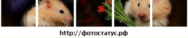 Вікторія Граузе фотография #18 (источник - https://vk.com/id71007166)