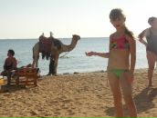 Ангелінка Квасниця фотография #37 (источник - https://vk.com/id125137993)