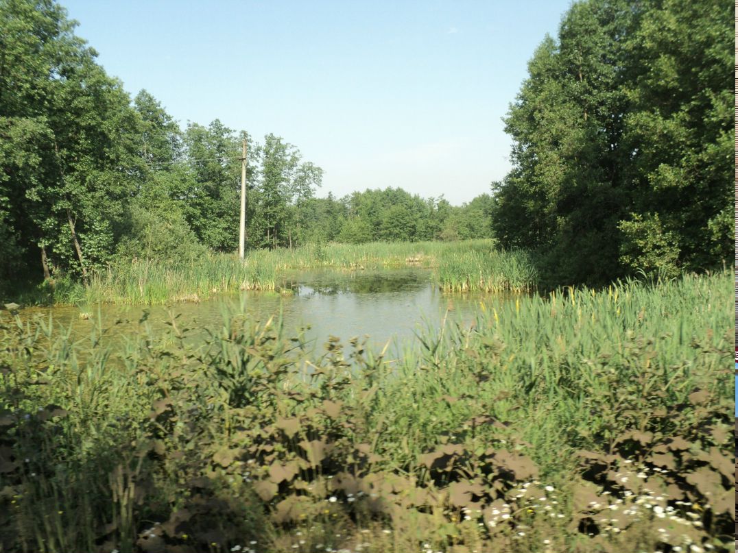 Надежда Ткаченко фотография #10