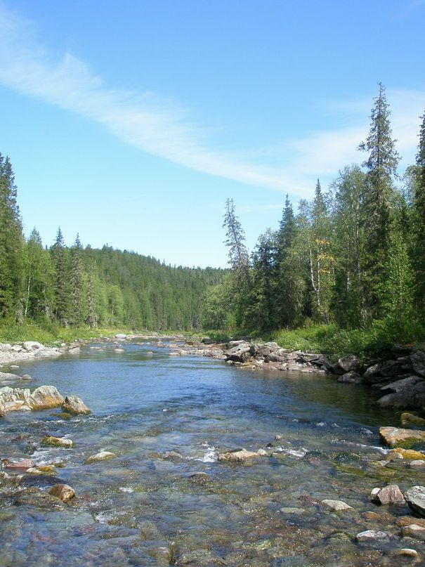 Дмитрий Луценко фотография #10