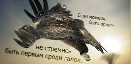 Алена _____ фотография #30 (источник - https://vk.com/id134429011)