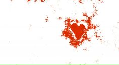 Фотография Бортняка Александра