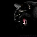 Фотография Цыгановой Марины