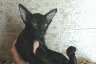 Фотография Киндерова Александра