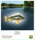 Віктор Кузьма фотография #7 (источник - https://vk.com/id72418922)