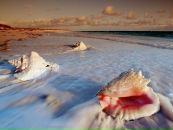 Фотография Тавасиевой Леси