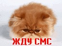 Юлічка Крупич фотография #12 (источник - https://vk.com/id128535410)