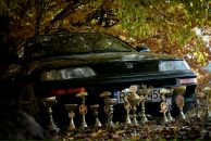 Назар Зіник фотография #34 (источник - https://vk.com/id8251396)