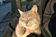 Фотография Лиморенко Семена