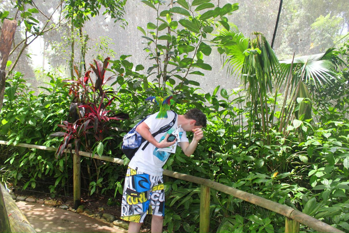 Дмитрий Венгерцев фотография #19