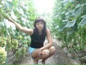 Фотография Бендер Юлии