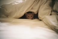 Андрій Мартинович фотография #39 (источник - https://vk.com/id58962999)