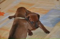 Фотография Мкртычян Екатерины