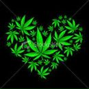 Марат Амиров фотография #1