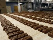 Николай Левша фотография #36 (источник - https://vk.com/id14207458)