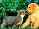 Сергій Ціпан фотография #24 (источник - https://vk.com/id138284675)