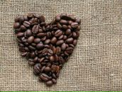 Фотография Дмитриевой Натальи