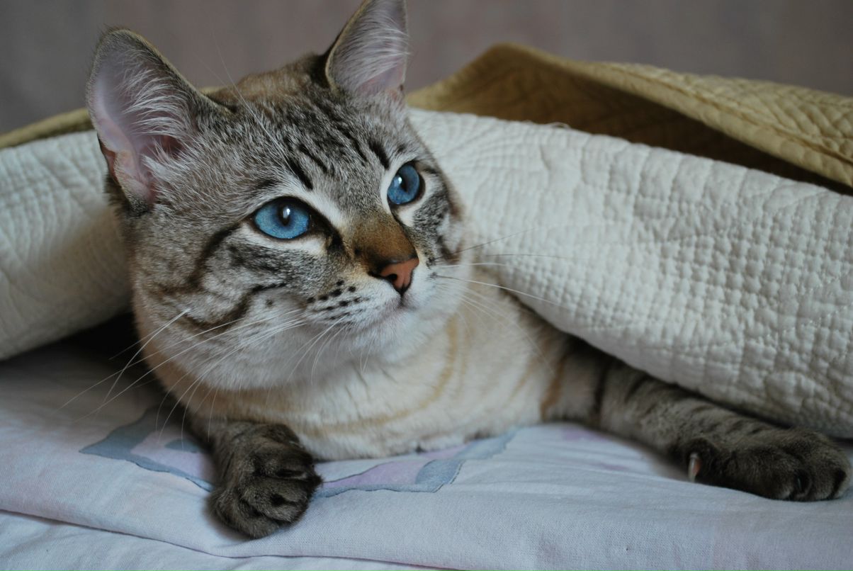 Mata Kimi фотография #6