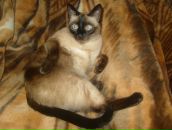 Фотография Пальгиной Анны