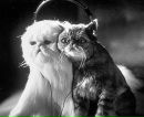 Фотография Зубенковой Татьяны