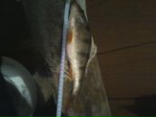 Максім Бойко фотография #4 (источник - https://vk.com/id77741783)