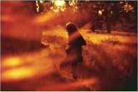 Фотография Воротниковой Дарьи