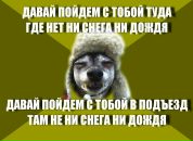 Stew Boy фотография #40 (источник - https://vk.com/id657597)