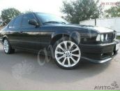 Фотография Царёвой Светланы