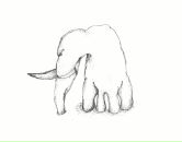 Фотография Кроза Михаила