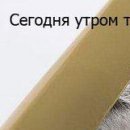 Діма Біжик фотография #27 (источник - https://vk.com/id141798699)