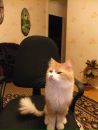 Фотография Вахитова Ильдара