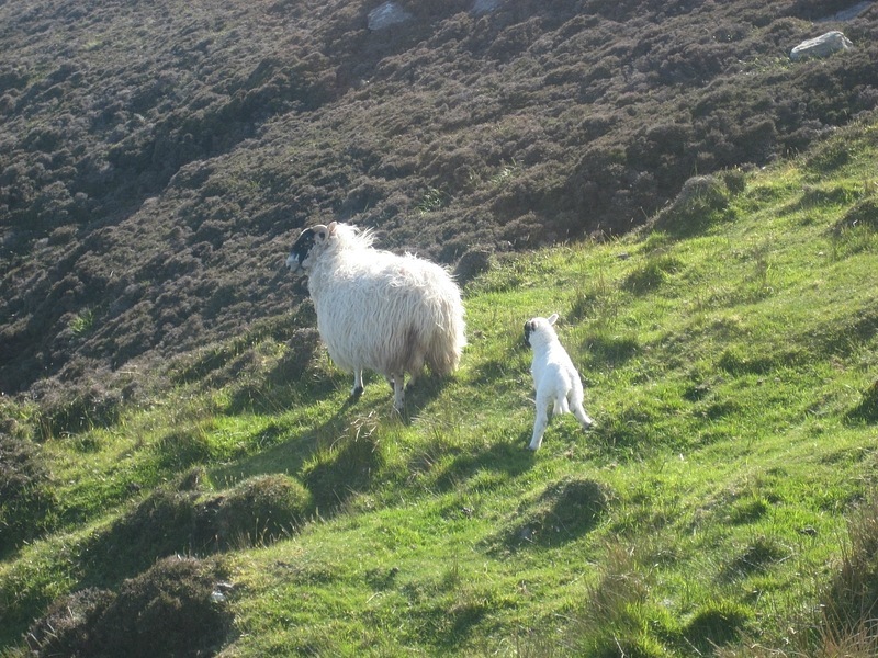 Дмитрий Рекун фотография #14