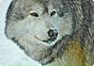 Фотография Крайневой Екатерины