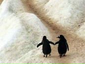 Фотография Dredina Санечки