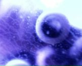 Ник Мики фотография #8 (источник - https://vk.com/id2016540)