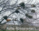 Ірина Редько фотография #8 (источник - https://vk.com/id55667456)