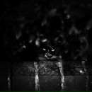 Фотография Крикуновой Яны