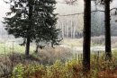 Nik Солнцев фотография #16 (источник - https://vk.com/id3960013)