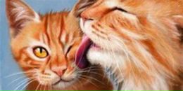 Юрчік Міщенко фотография #3 (источник - https://vk.com/id105845167)