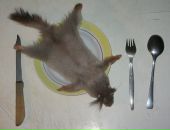 Фотография Рогачевой Валентины