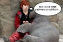 Вика Плотникова фотография #47 (источник - https://vk.com/id162871101)