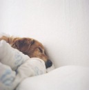 Фотография Klimova Nelly