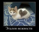 Фотография Memetova Dina