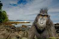 Фотография Кузнецова Александра