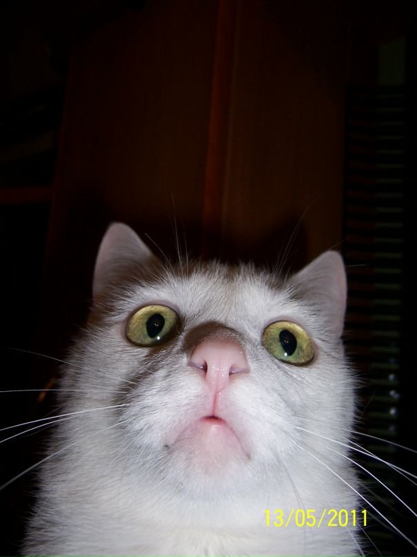 Пак Илья фотография #10